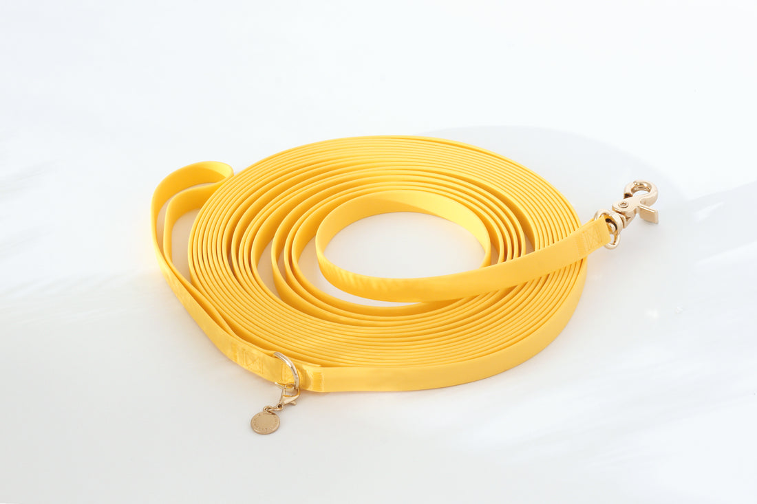 Dandelion Yellow Waterproof Cloud 30 Ft Dog Leash