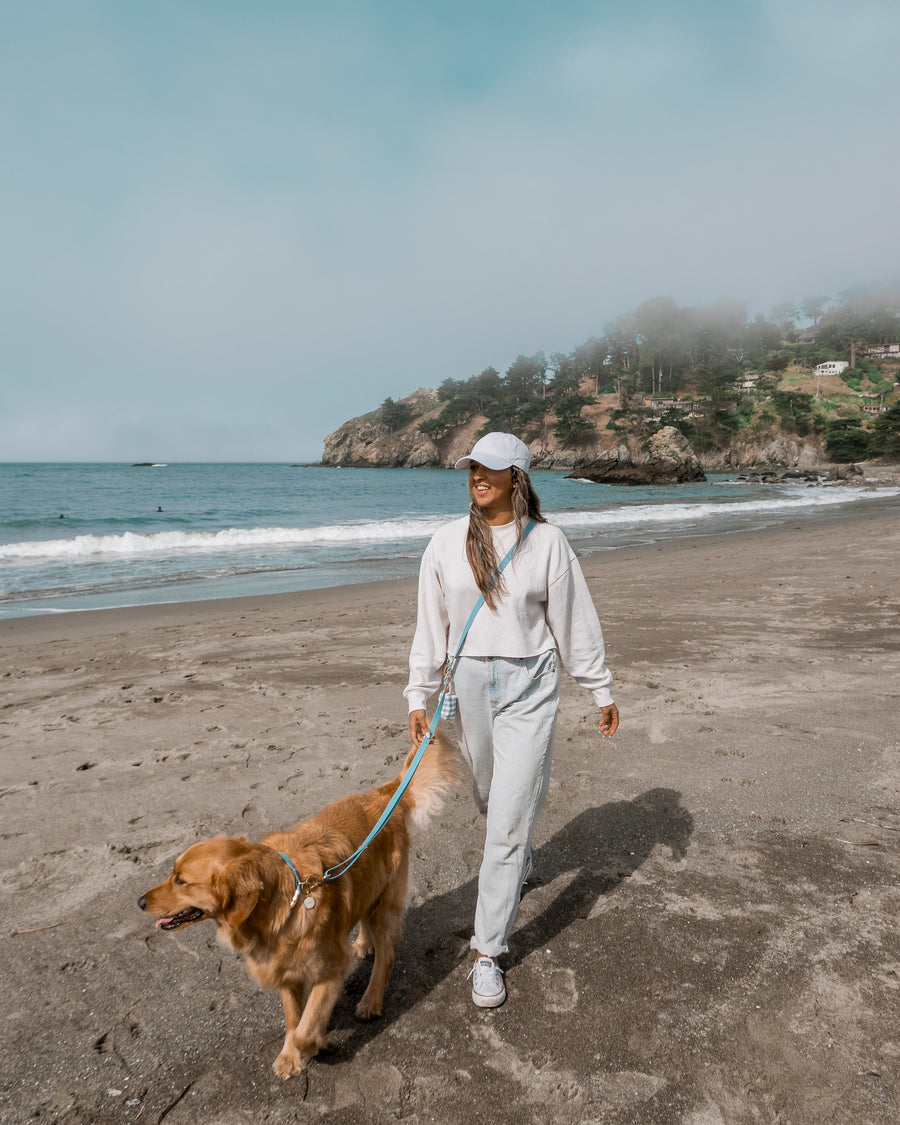 Malibu Blue Convertible Hands Free Cloud Dog Leash | Multifunctional, Waterproof, and Lightweight Dog Leash | Shop Sunny Tails