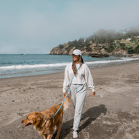 Cloud Leash Extension & Treat Pouch Bundle Wide - SUNNY TAILS