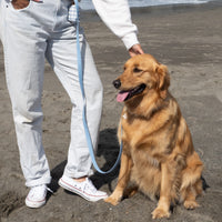 Mulberry Burgundy Wide 4-in-1 Convertible Hands Free Cloud Dog Leash