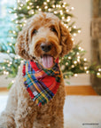 Holiday Cheer Dog Sailor Bow - SUNNY TAILS