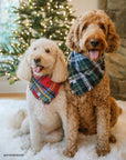 Holiday Cheer Dog Sailor Bow - SUNNY TAILS