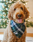 Evergreen Plaid Dog Sailor Bow - SUNNY TAILS