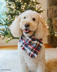 Frosted Foresty Flannel Frayed Dog Bandana | Brown and Blue Plaid Christmas Flannel | Shop Sunny Tails