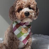 Picnic Plaid Teddy Dog Bandana | Teddy Bear Dog Bandana | Shop Sunny Tails