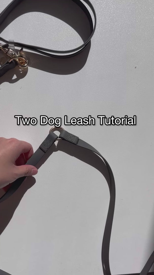 4 way dog outlet leash