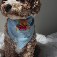 Pocket Teddy Bleached Denim Denim Dog Bandana Brown | Teddy Bear Dog Bandana | Shop Sunny Tails