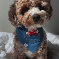 Pocket Teddy Indigo Denim Dog Bandana - Beige