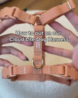 How to put on our Cloud Lite Dog Harness
