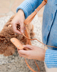 Chai Brown Snap Dog Treat Pouch | Dog Training Bag | Dog Bag for Treats | Carry Wet or Dry Treats | Silicone Pouch for Dog | Sunny Tails