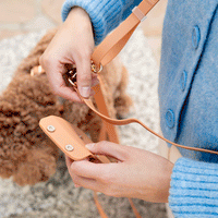 Chai Brown Snap Dog Treat Pouch | Dog Training Bag | Dog Bag for Treats | Carry Wet or Dry Treats | Silicone Pouch for Dog | Sunny Tails