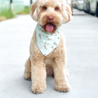 My Otter Half Dog Bandana