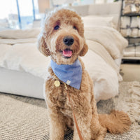 Blue Herringbone Flannel Dog Bandana | Teddy Bear Dog Bandana | Shop Sunny Tails