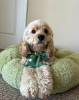Blooming Daisies Green Dog Sailor Bow - SUNNY TAILS