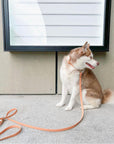 Chai Brown Convertible Hands Free Cloud Dog Leash | Multifunctional, Waterproof, and Lightweight Dog Leash | Shop Sunny Tails
