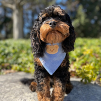 Blue Herringbone Flannel Dog Bandana | Teddy Bear Dog Bandana | Shop Sunny Tails