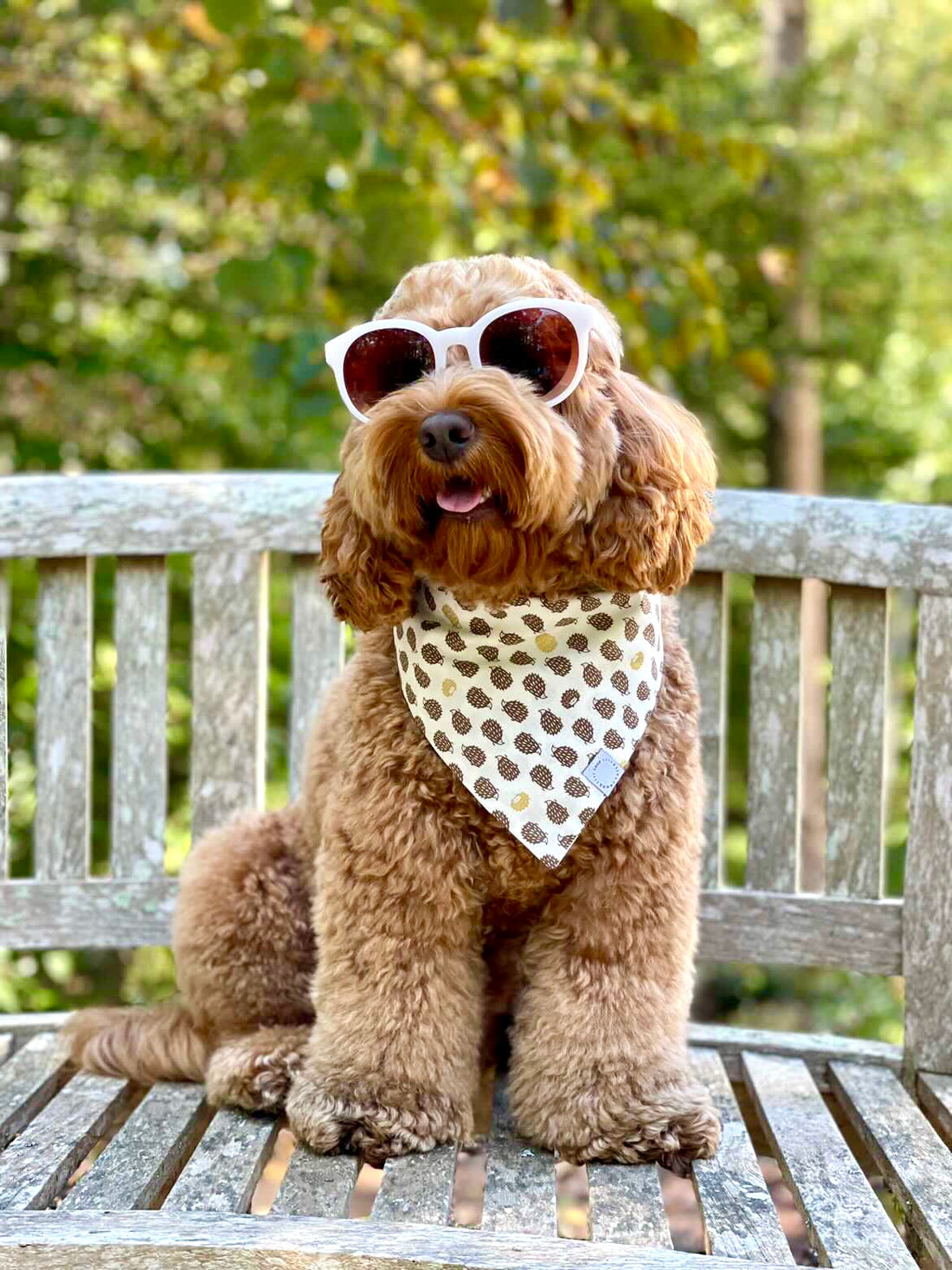 Shop for pet bandanas, bow ties, and toys for your dog of all sizes. Handmade with love by a small business in Los Angeles, California for the best dog gear.