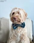 Corduroy Floral Dog Bow Tie - SUNNY TAILS
