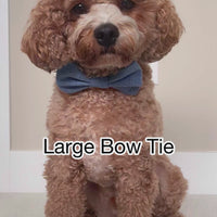 Basil Herringbone Dog Bow Tie | Dog Bow Tie | Shop Sunny Tails