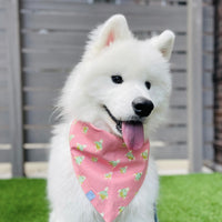 Just Keep Swimming Turtles Dog Bandana