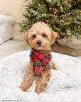 Christmas Plaid Flannel Dog Sailor Bow - SUNNY TAILS