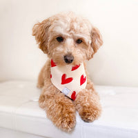 Be My Valentine Corduroy Dog Bandana