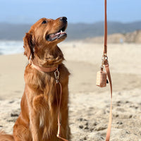 Chai Brown Convertible Hands Free Cloud Dog Leash | Multifunctional, Waterproof, and Lightweight Dog Leash | Shop Sunny Tails