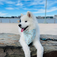 My Otter Half Dog Bandana