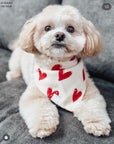 Be My Valentine Corduroy Dog Bandana
