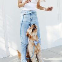 Malibu Blue Convertible Hands Free Cloud Dog Leash | Lightweight, Multifunctional, and Waterproof Dog Leash | Shop Sunny Tails