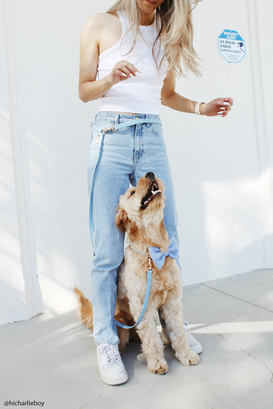 Lavender Haze Lilac Convertible Hands Free Cloud Dog Leash | Multifunctional, Waterproof, and Lightweight Dog Leash | Shop Sunny Tails