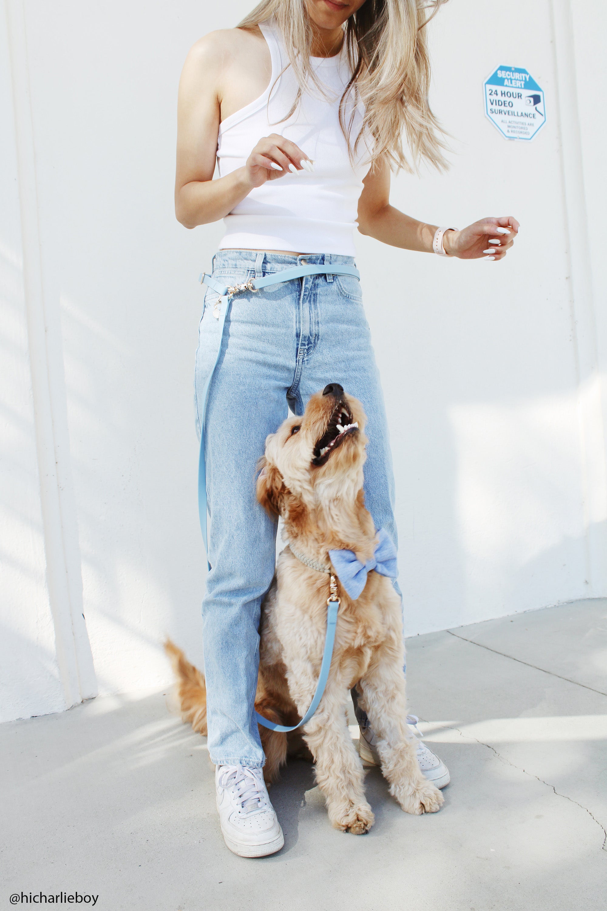 Chai Brown Convertible Hands Free Cloud Dog Leash | Multifunctional, Waterproof, and Lightweight Dog Leash | Shop Sunny Tails