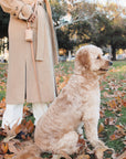 Chai Brown Convertible Hands Free Cloud Dog Leash | Multifunctional, Waterproof, and Lightweight Dog Leash | Shop Sunny Tails