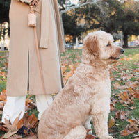 Chai Brown Convertible Hands Free Cloud Dog Leash | Multifunctional, Waterproof, and Lightweight Dog Leash | Shop Sunny Tails
