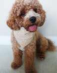 Corduroy Everyday Floral Dog Bandana - SUNNY TAILS