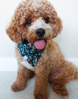 Corduroy Floral Dog Bandana - SUNNY TAILS