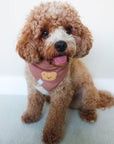 Teddy Fleece Brown Dog Bandana - SUNNY TAILS