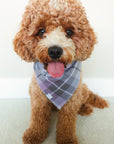 Purple Plaid Flannel Dog Bandana - SUNNY TAILS