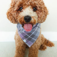 Purple Plaid Flannel Dog Bandana