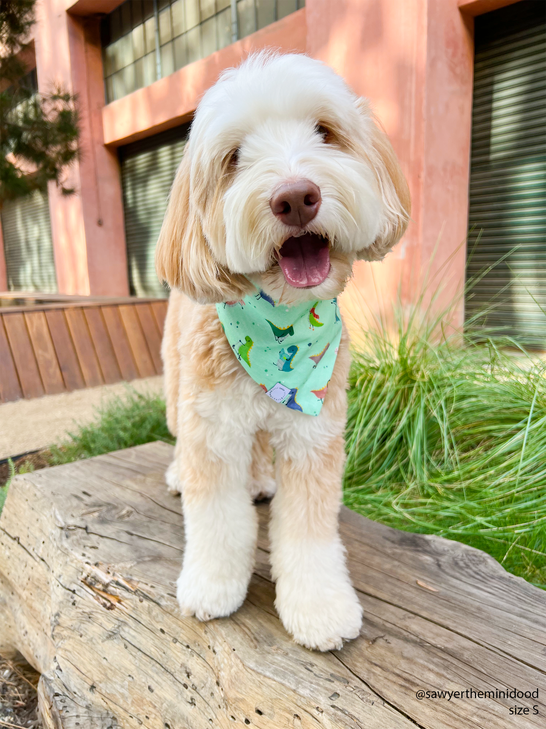 Jurassic Bark Dinosaur Dog Bandana | Mint Green Snap On Dog Bandana | Shop Sunny Tails