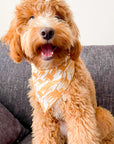 Giraffic Jam Dog Bandana - SUNNY TAILS