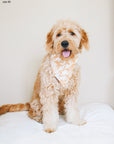 Giraffic Jam Dog Bandana - SUNNY TAILS
