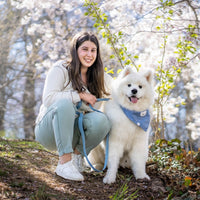 Malibu Blue Wide 4-in-1 Convertible Hands Free Cloud Dog Leash