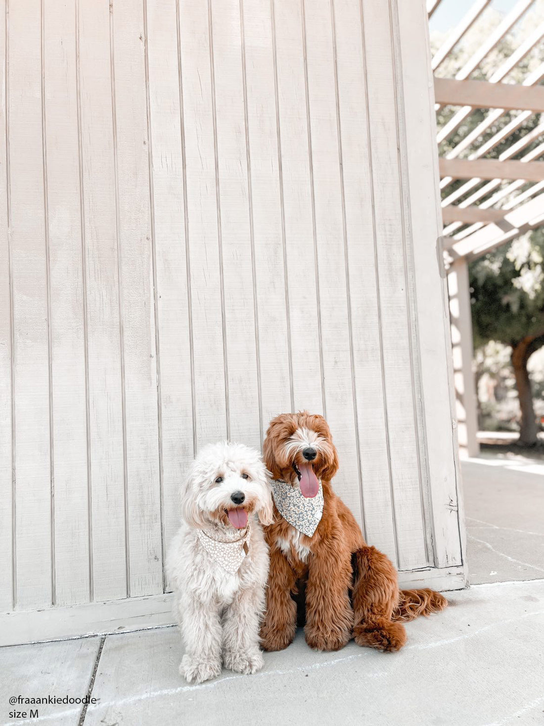 Daisies Field Dog Bandana | Floral Dog Bandana | Shop Sunny Tails
