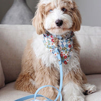 Malibu Blue Waterproof Cloud Dog Leash | Lightweight PVC Leash | Odor Proof, Stink Proof, and Durable Dog Lead | Available in 3 Lengths