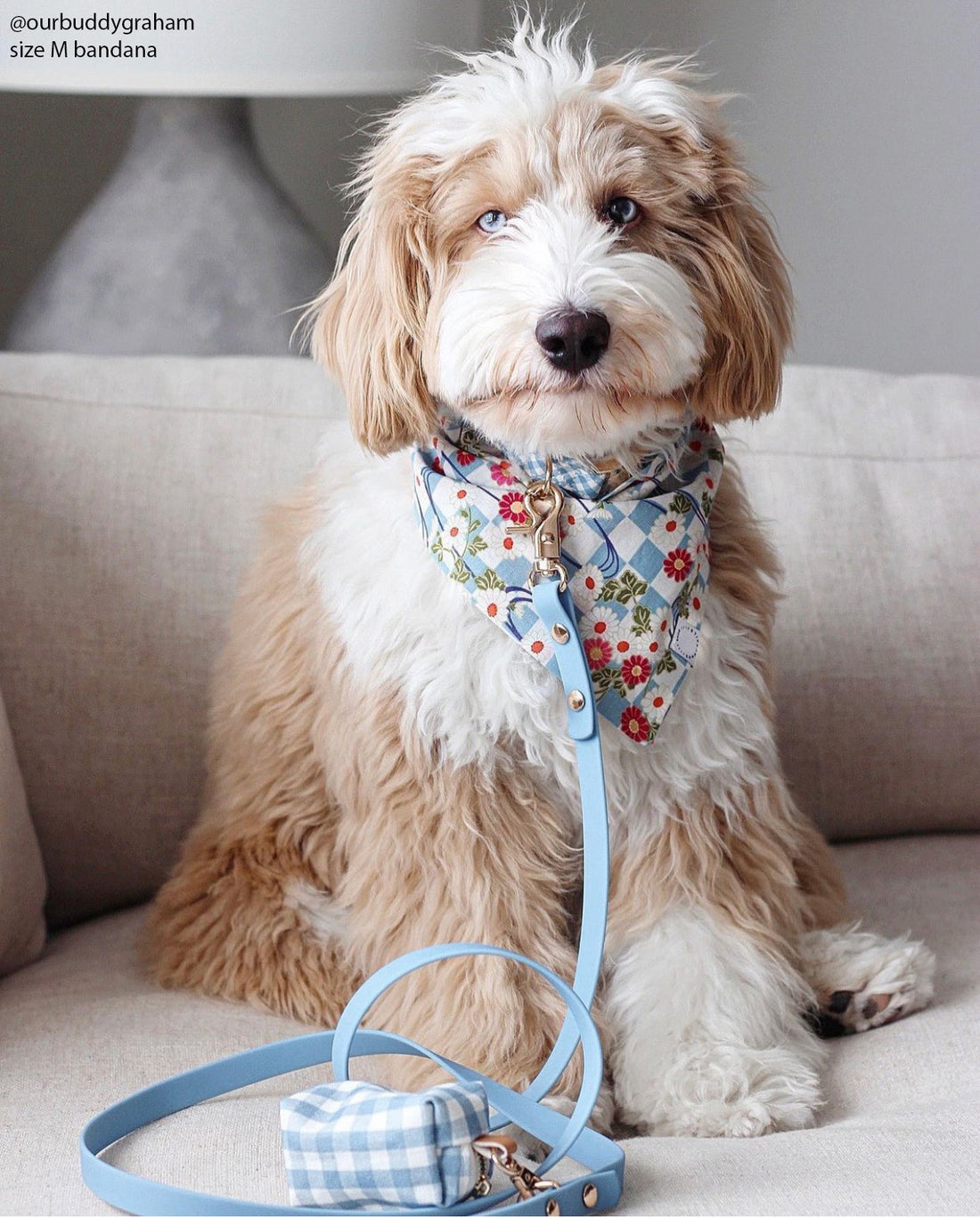Floral Checkmate Gingham Dog Bandana