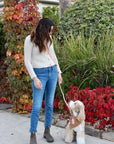 Chai Brown 4-in-1 Convertible Hands Free Cloud Dog Leash