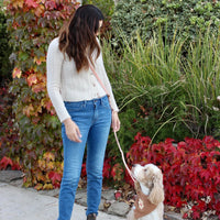 Chai Brown 4-in-1 Convertible Hands Free Cloud Dog Leash