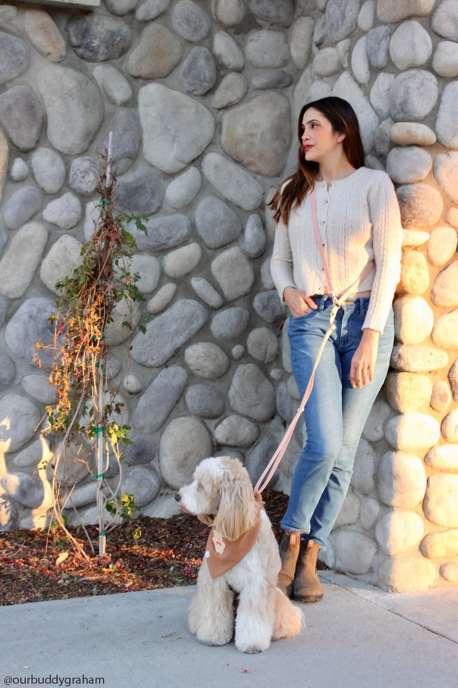 Malibu Blue Convertible Hands Free Cloud Dog Leash | Lightweight, Multifunctional, and Waterproof Dog Leash | Shop Sunny Tails