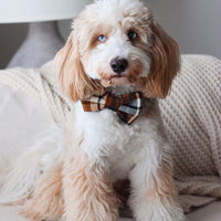 Harvest Plaid Flannel Bow Tie | Fall Dog Bow Tie | Shop Sunny Tails